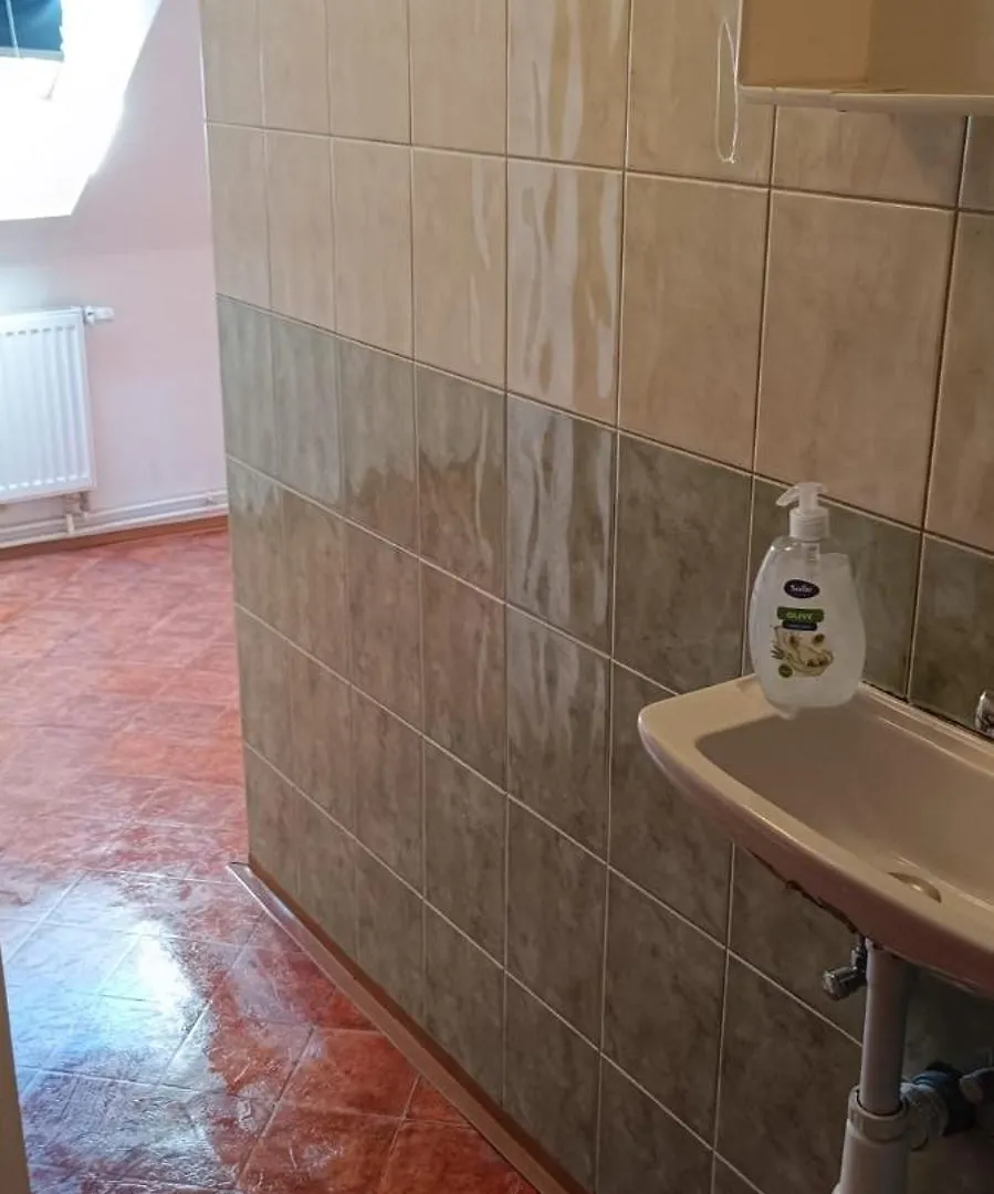 Apartment Karlovy Vary Czech Republic